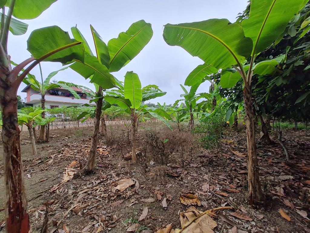 La Propiedad Imagen Destacada