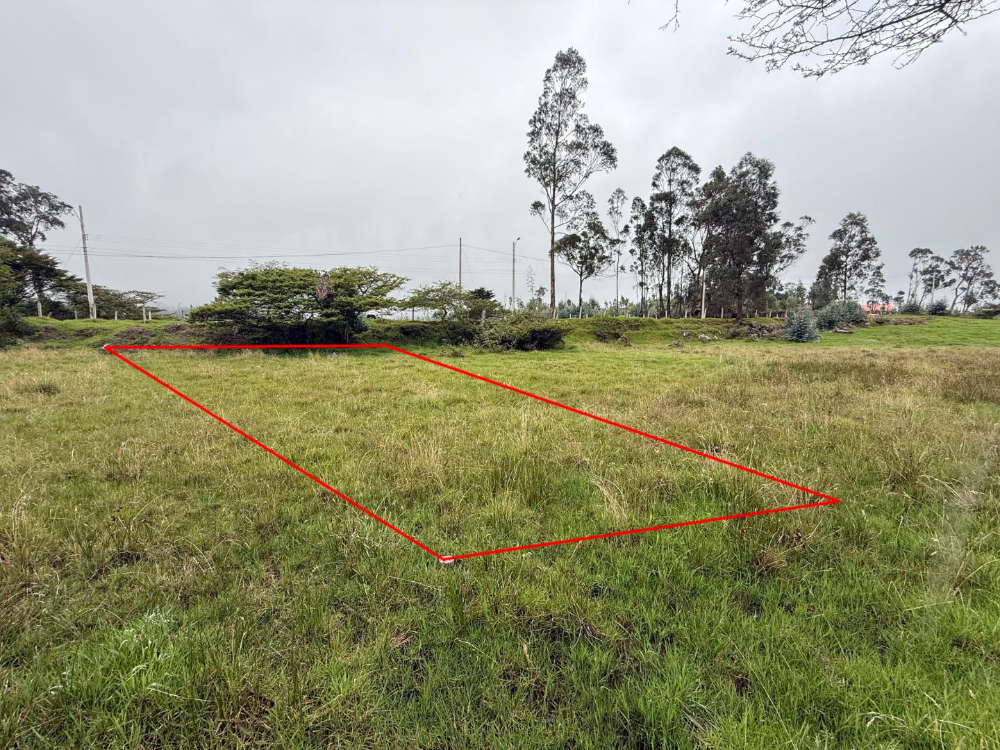 La Propiedad Imagen Destacada